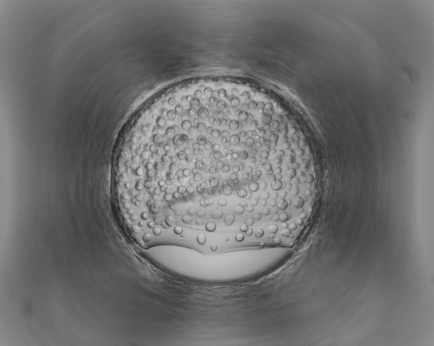 X0000110991220200907101424
