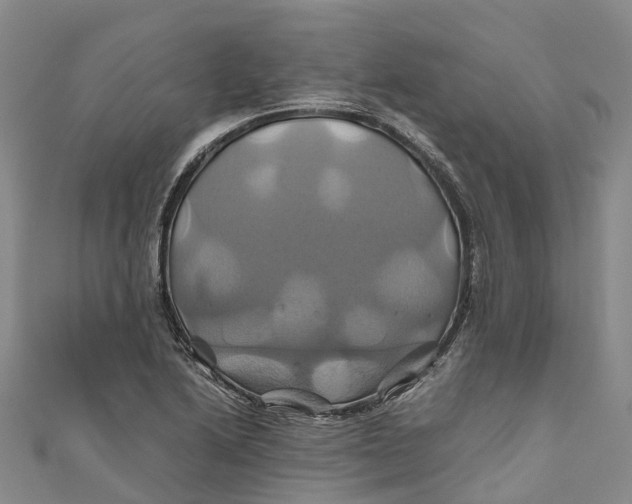 X0000110991222200907101424