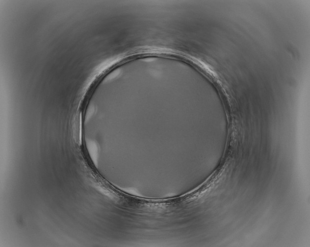 X0000110991223200907101424