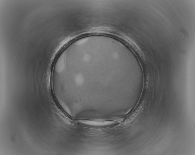 X0000110991224200907101424