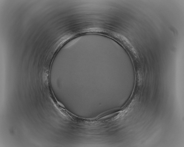 X0000110991225200907101424