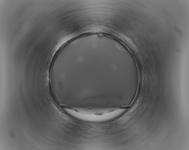 X0000110991226200907101424