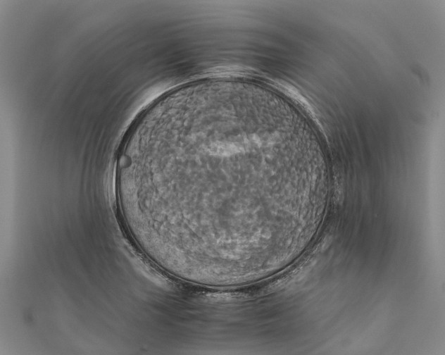 X0000110991227200907101424