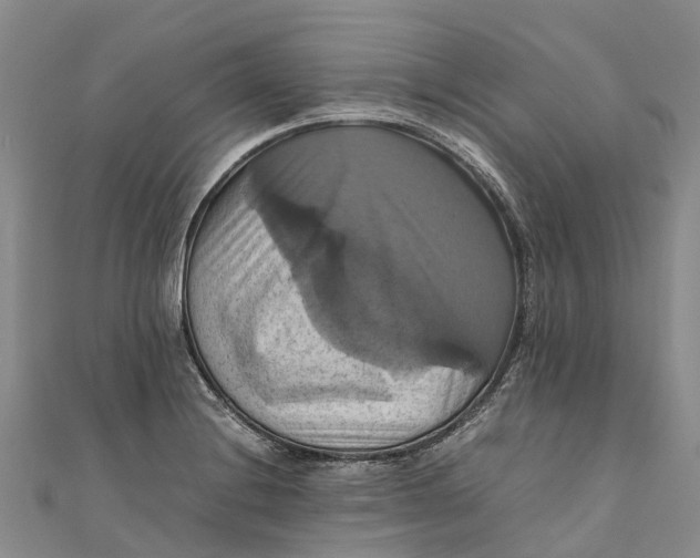 X0000110991228200907101424