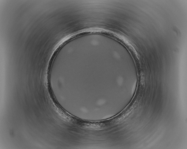 X0000110991229200907101424
