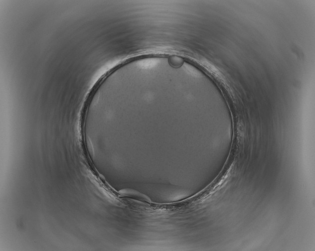X0000110991230200907101424