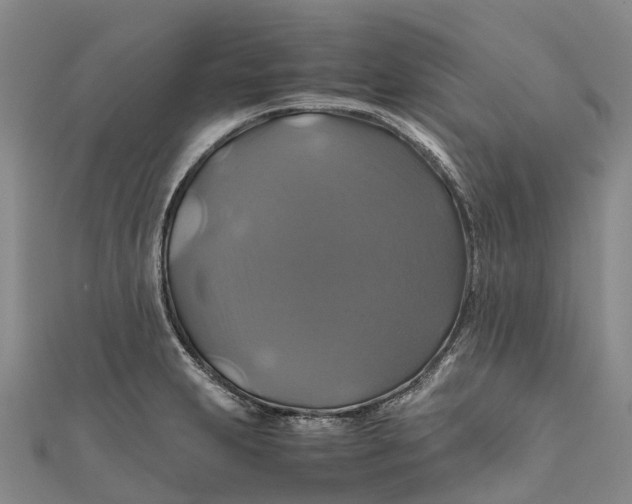 X0000110991231200907101424