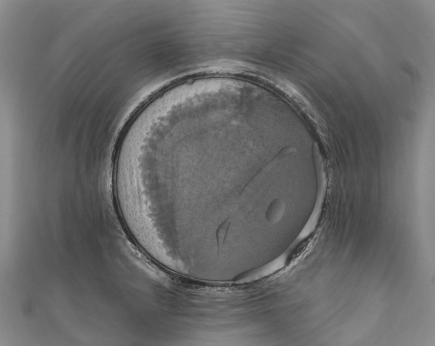 X0000110991232200907101424