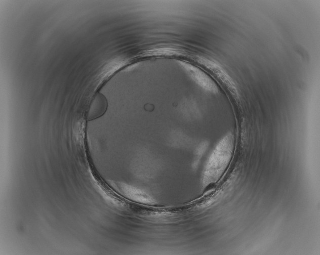X0000110991233200907101424