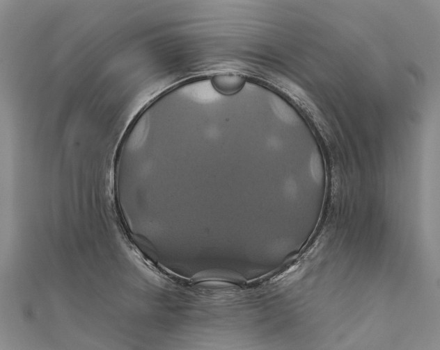 X0000110991234200907101424