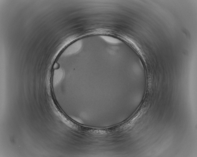 X0000110991235200907101424