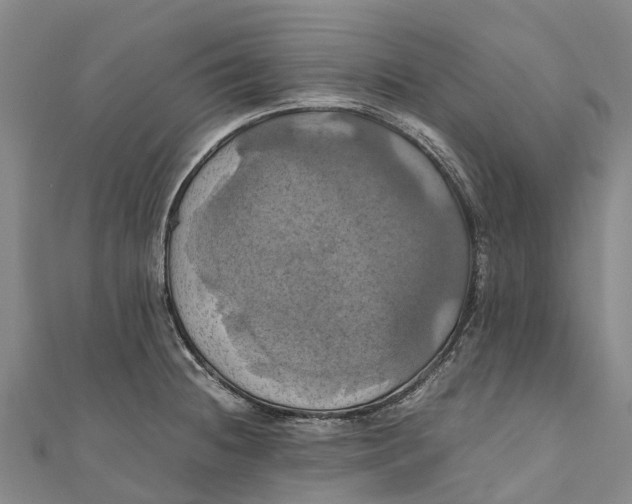 X0000110991236200907101424