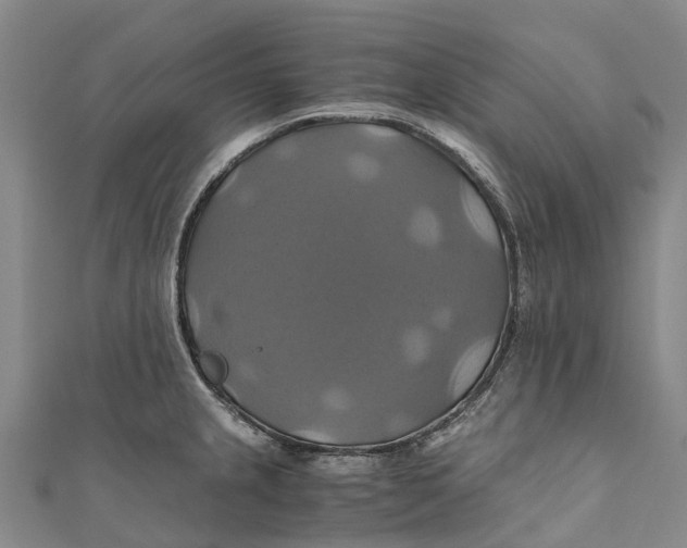 X0000110991237200907101424