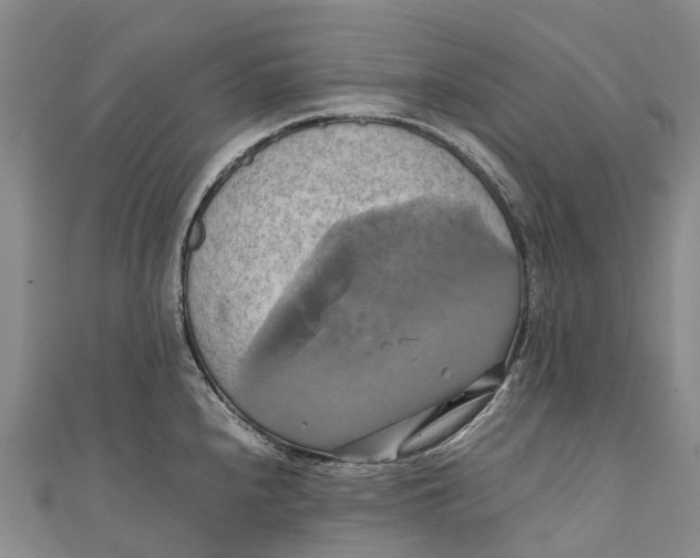 X0000110991240200907101424