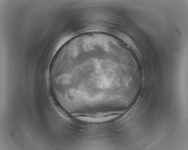 X0000110991242200907101424
