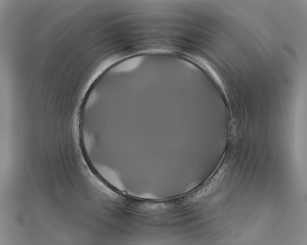 X0000110991243200907101424