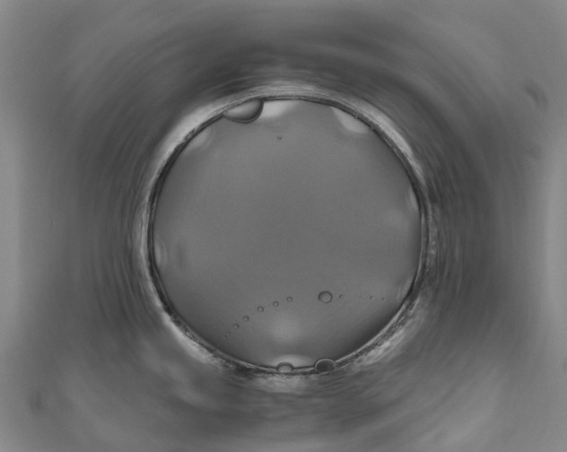 X0000110991245200907101424