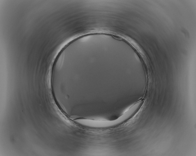 X0000110991246200907101424