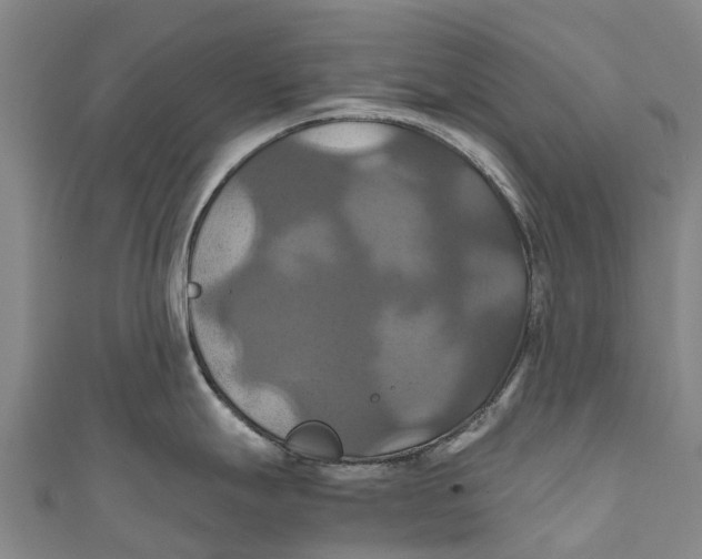 X0000110991247200907101424