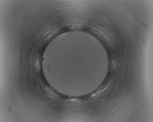 X0000110991250200907101423