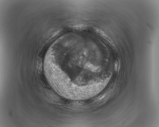 X0000110991251200907101423