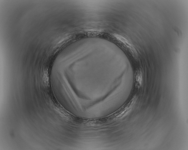X0000110991252200907101423