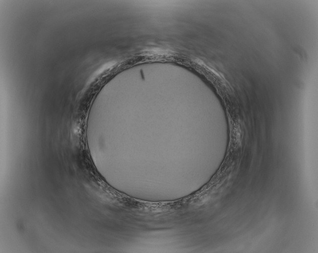 X0000110991254200907101423