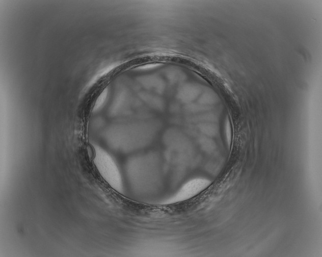 X0000110991255200907101423