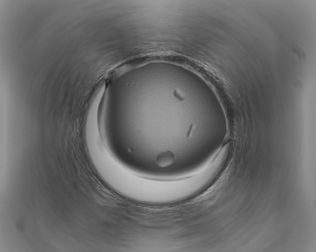 X0000110991257200907101423