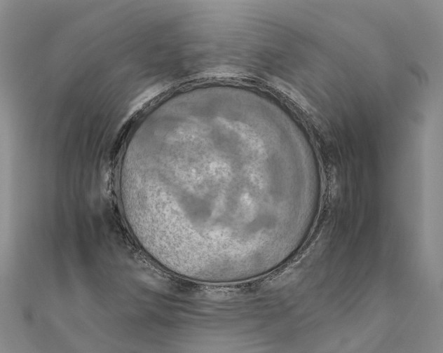 X0000110991258200907101423