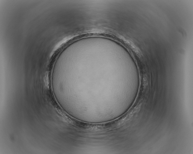 X0000110991262200907101423