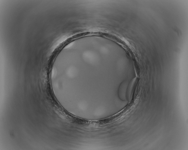 X0000110991263200907101423