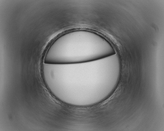 X0000110991264200907101423