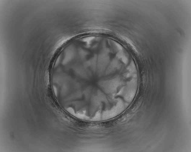 X0000110991267200907101423