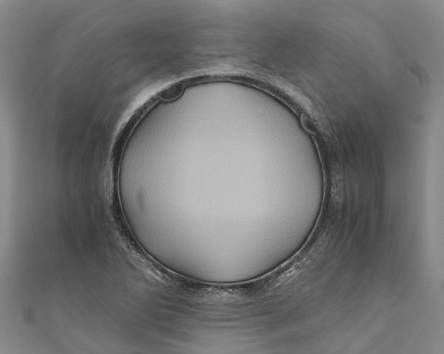 X0000110991270200907101423