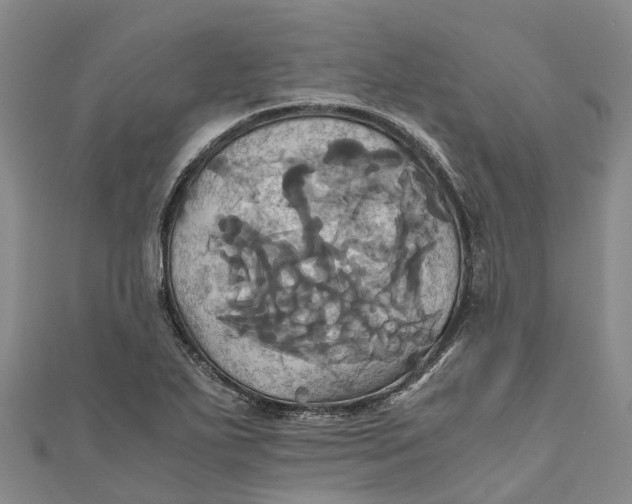 X0000110991271200907101423