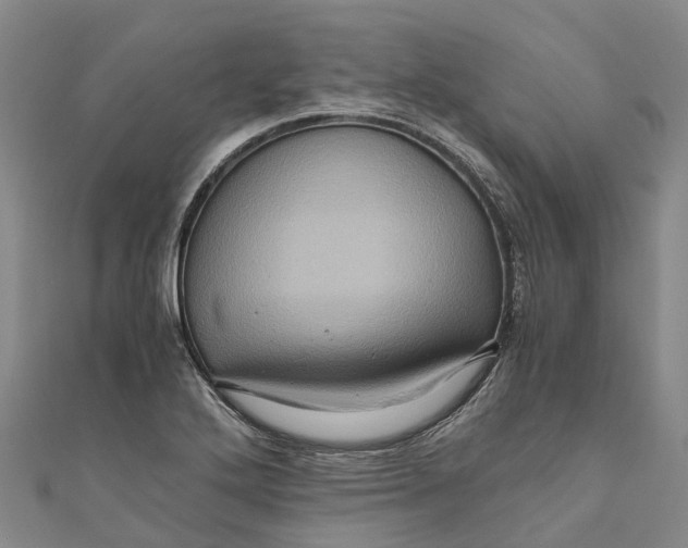 X0000110991272200907101423