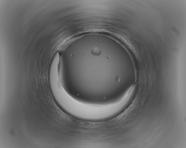 X0000110991273200907101423