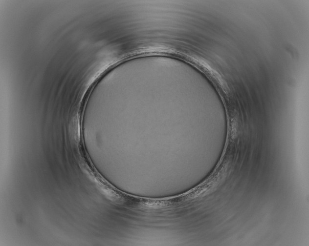 X0000110991274200907101423