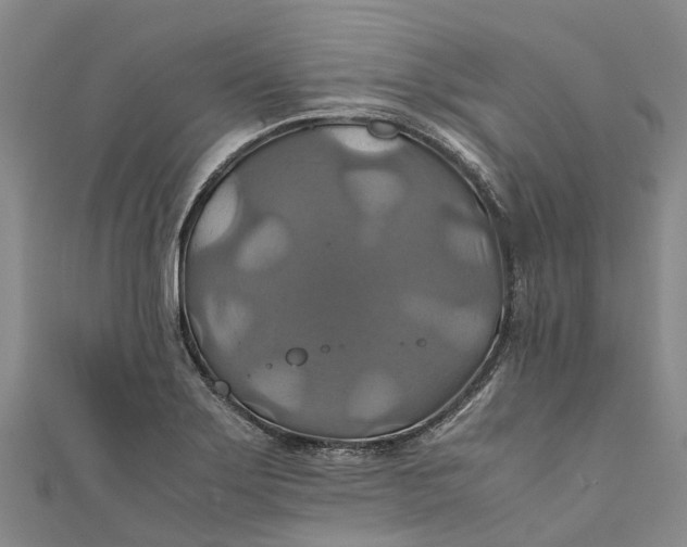 X0000110991275200907101423