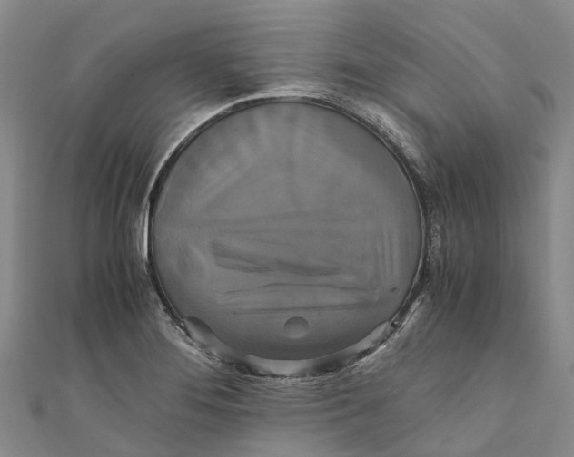 X0000110991276200907101423