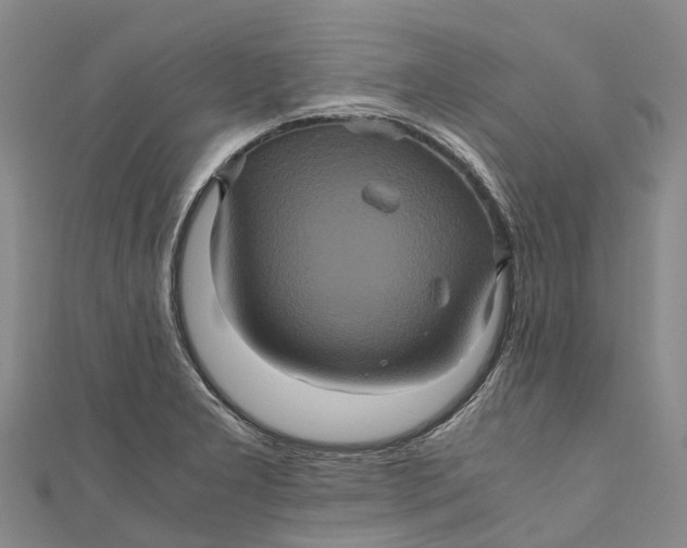 X0000110991277200907101423