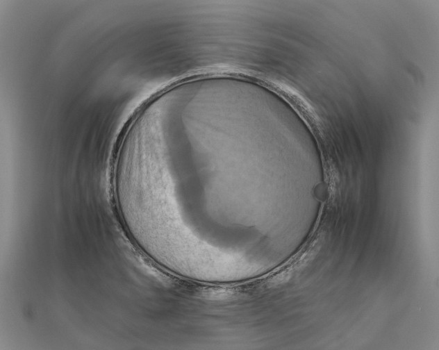 X0000110991278200907101423