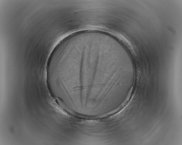 X0000110991280200907101423