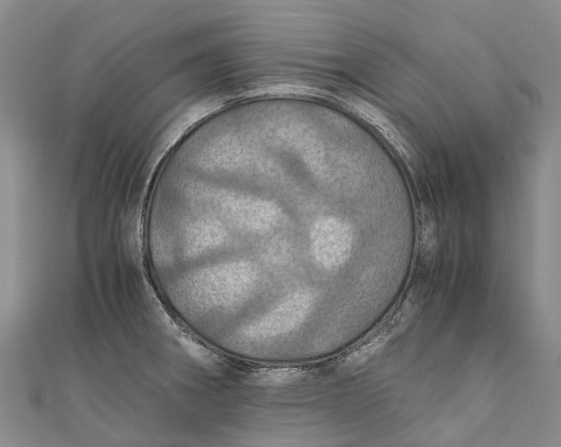 X0000110991282200907101423