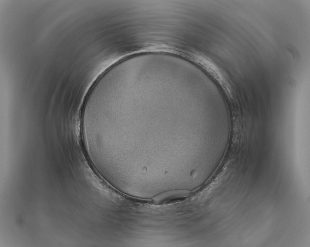 X0000110991284200907101423