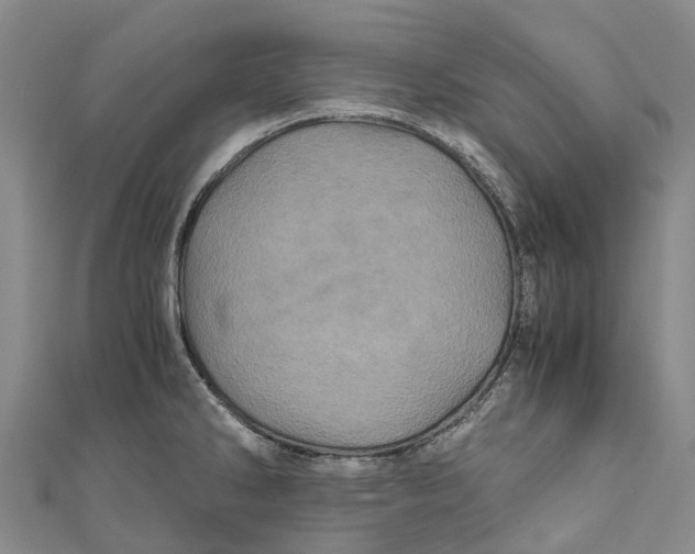 X0000110991286200907101423