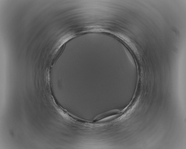 X0000110991289200907101423