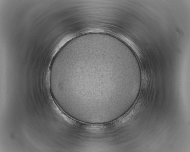 X0000110991290200907101423