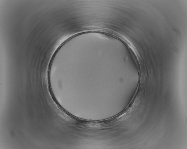 X0000110991291200907101423